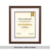 Two-Tone Light Walnut & Gold Degree & Diploma Frame