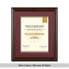 Scoop Design Walnut University Frame