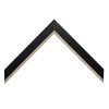 Flat Modern Black & Silver University Frame Ferreira